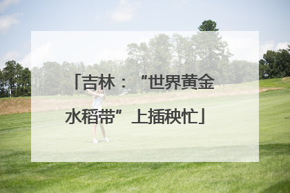吉林：“世界黄金水稻带”上插秧忙
